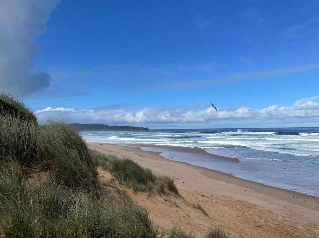 Anzacs Beach-Cape Woolamai必去景点