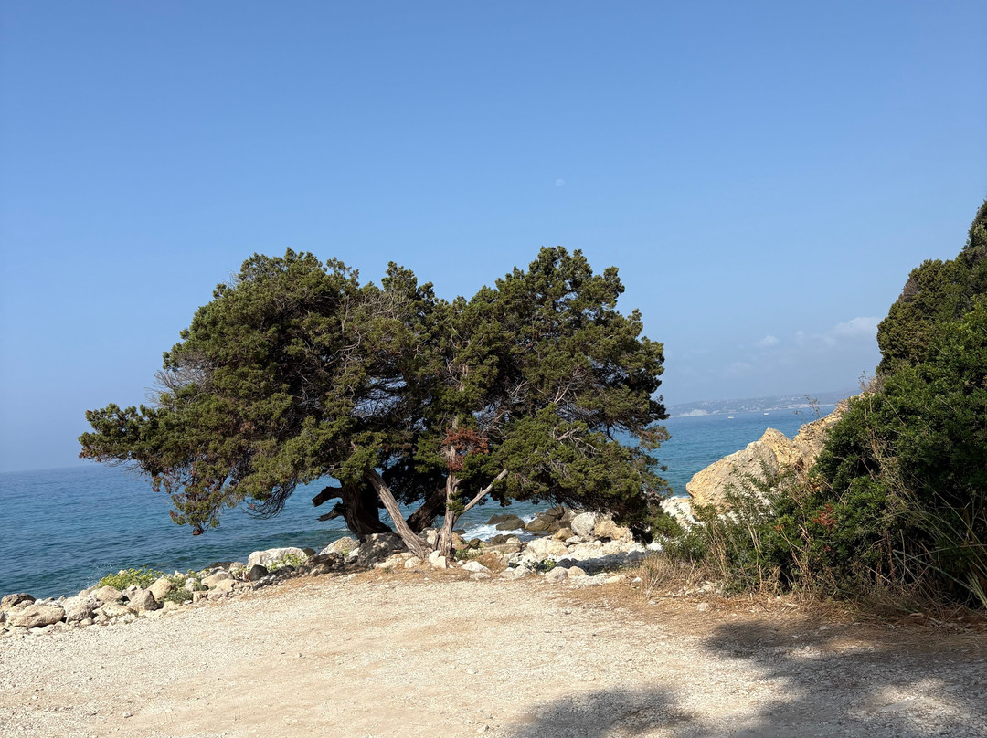 Spiaggia di Koroni Cefalonia-凯法利尼亚岛必去景点