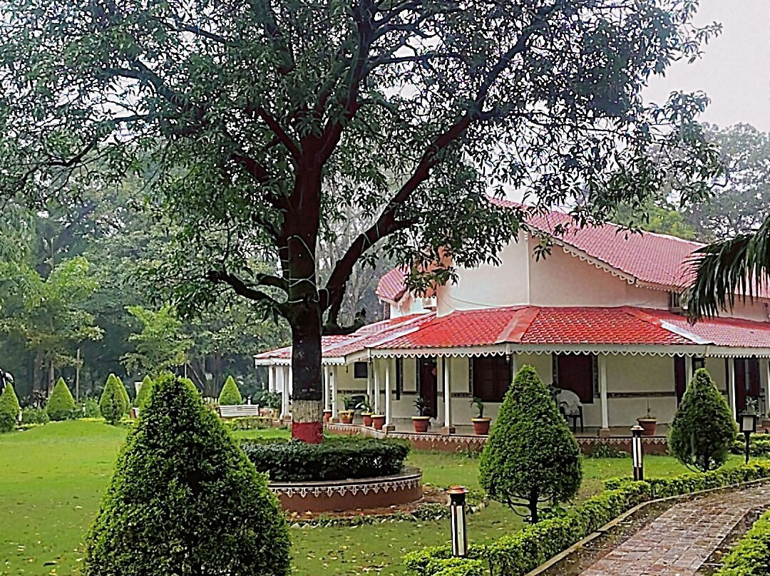 MPT Amaltas, Pachmarhi主图