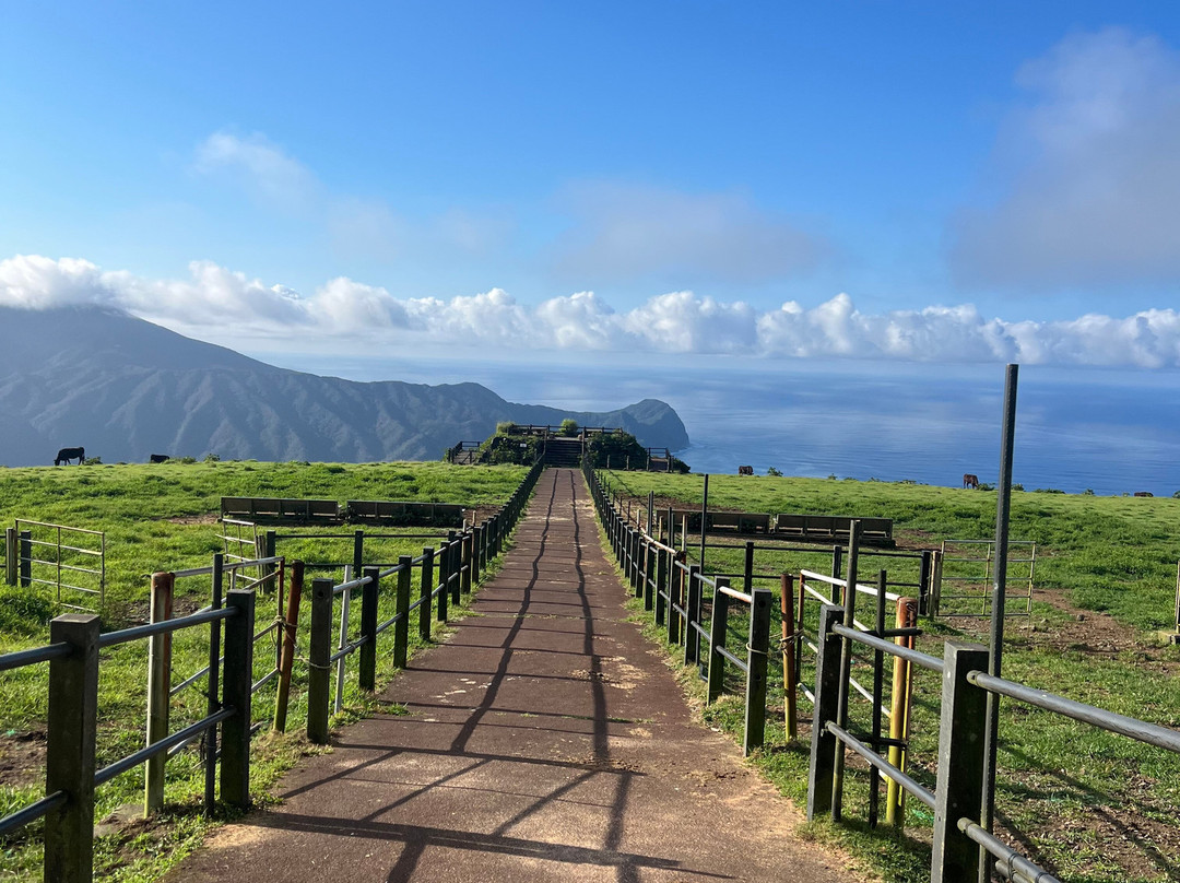 Hachijo Fuji Fureai Bokujo-八丈町必去景点