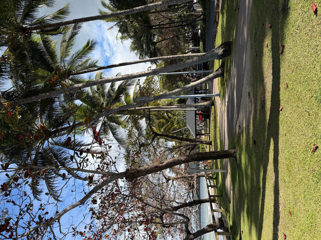 Palm Cove Beach-棕榈湾必去景点