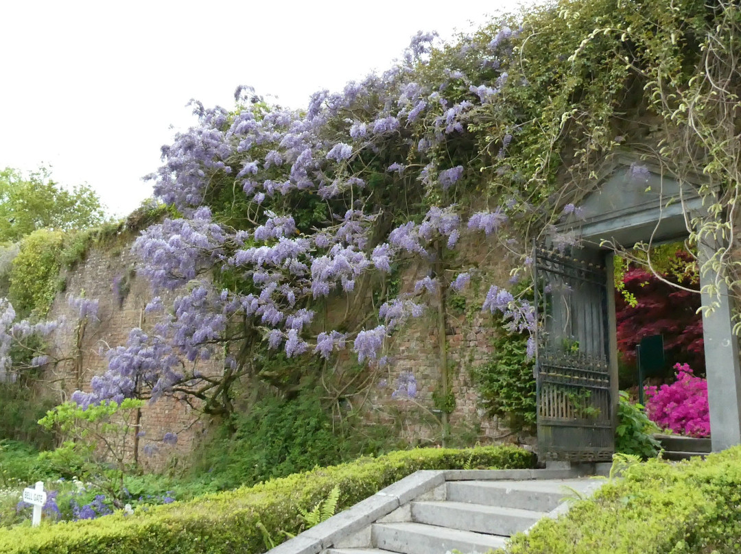 Mount Congreve Gardens-County Waterford必去景点