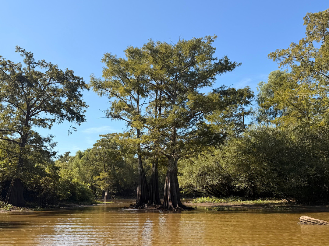 Cajun Customized Excursions-Arnaudville必去景点