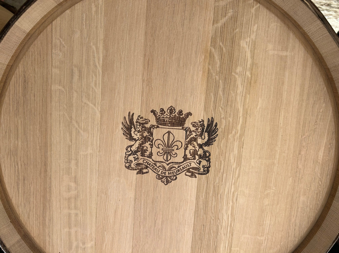 Chateau de Meursault-默尔索必去景点