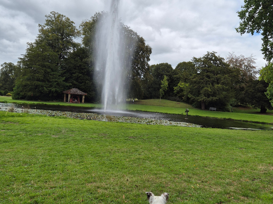 Forde Abbey & Gardens-Chard必去景点