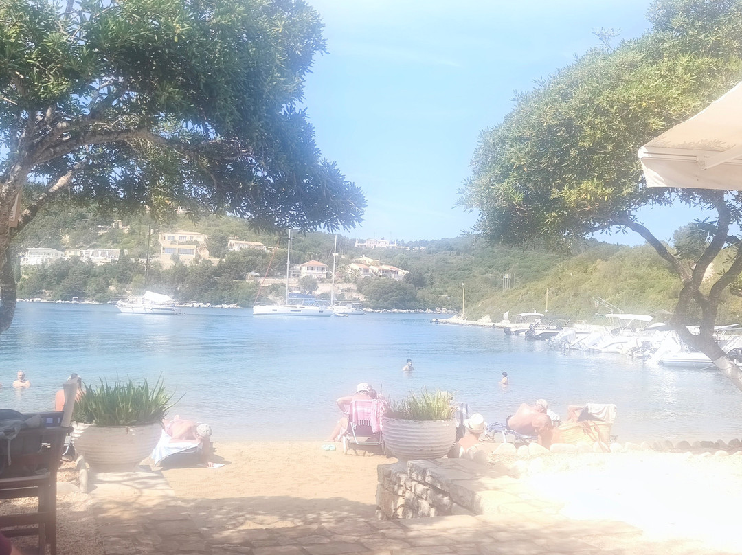 Mongonissi