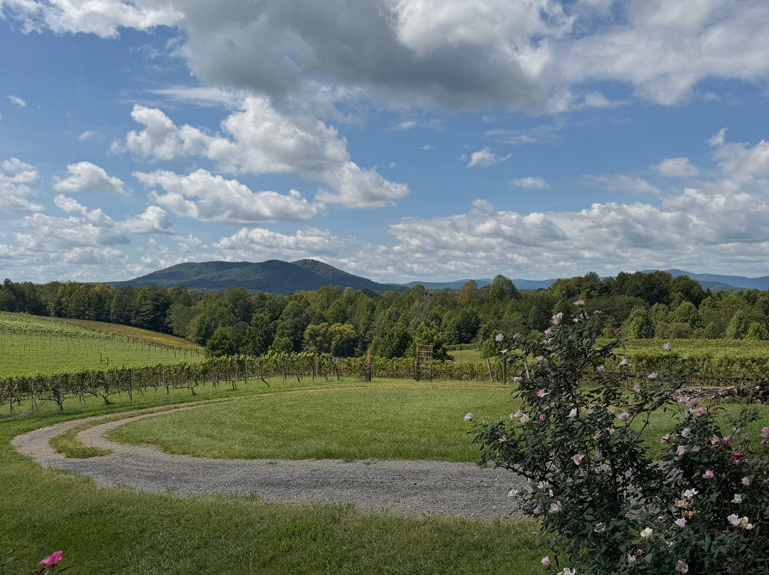 Round Peak Vineyard-Mount Airy必去景点