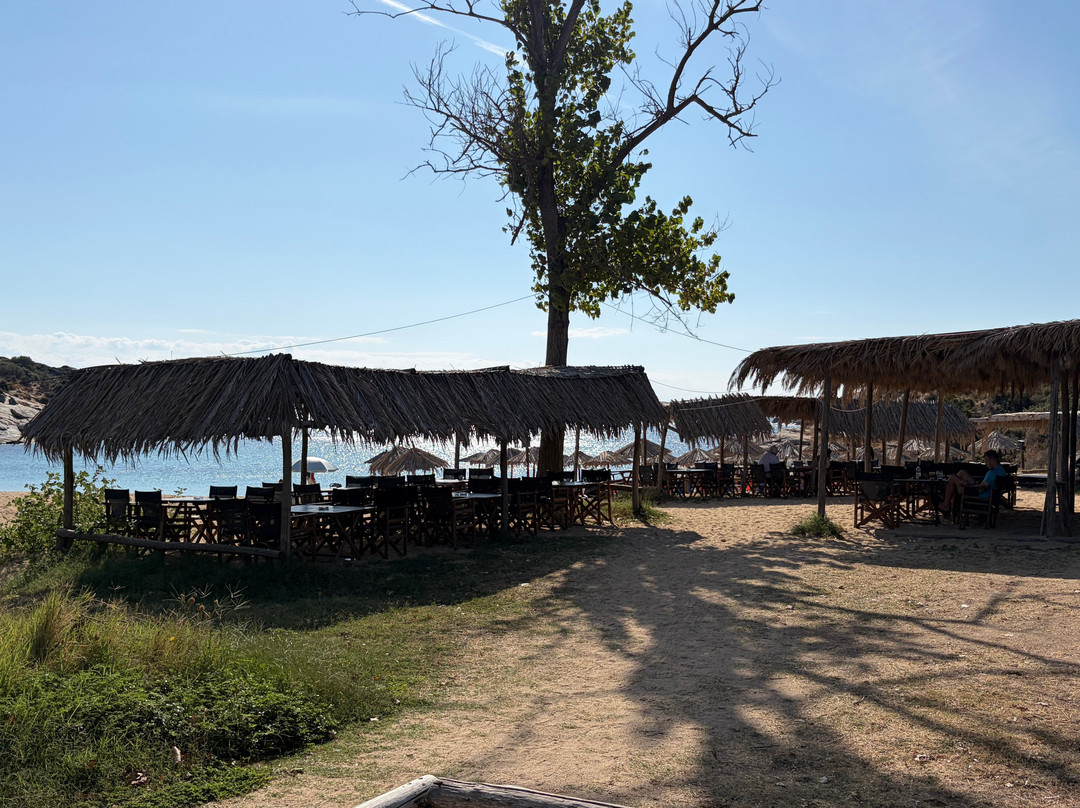 Agridia Beach-Sykia必去景点