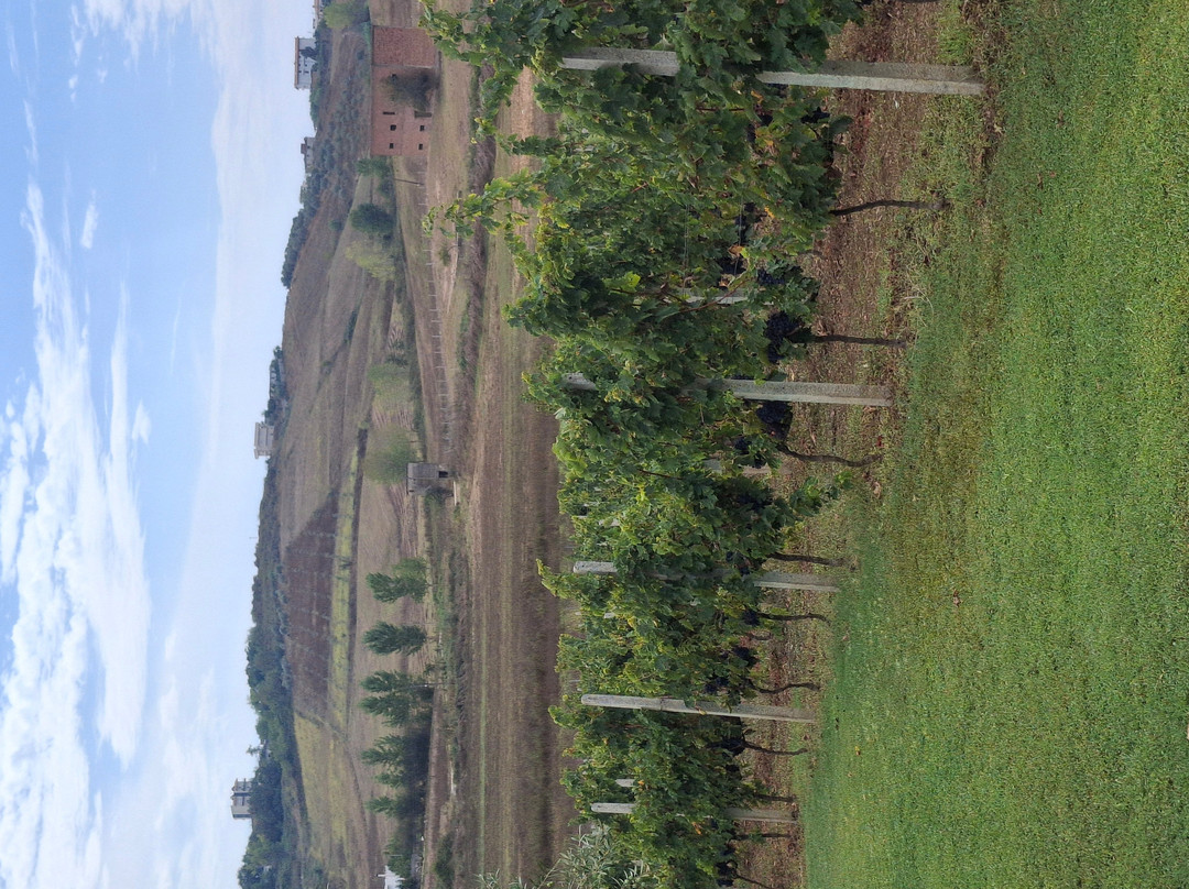 Abaia Winery & Vineyard-杜勒斯必去景点