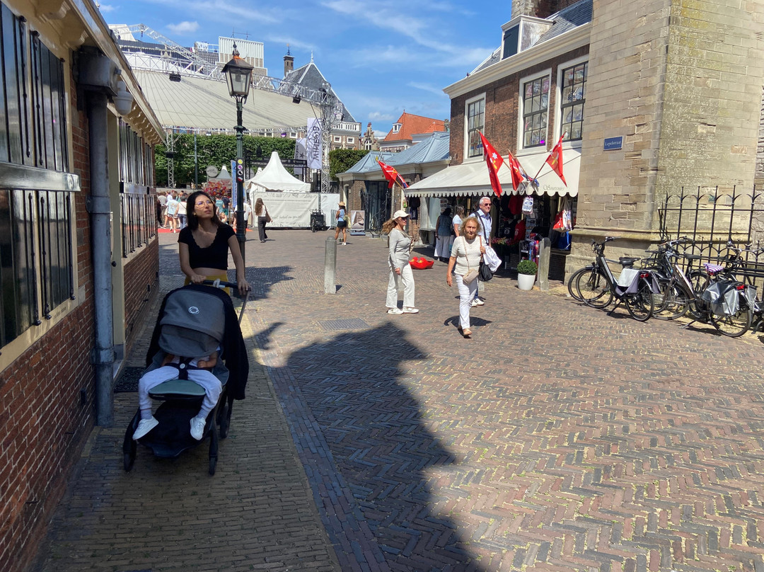 Grote Markt-哈勒姆必去景点