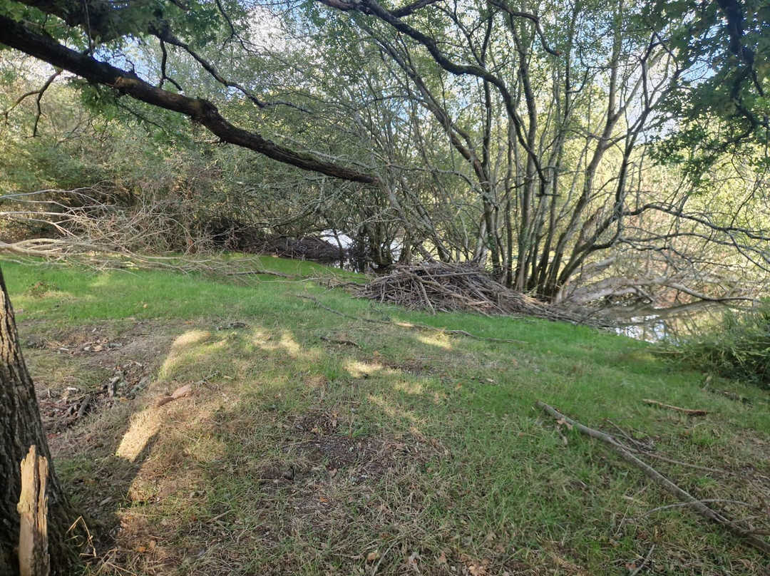 Knepp Wildland Safaris-霍舍姆必去景点