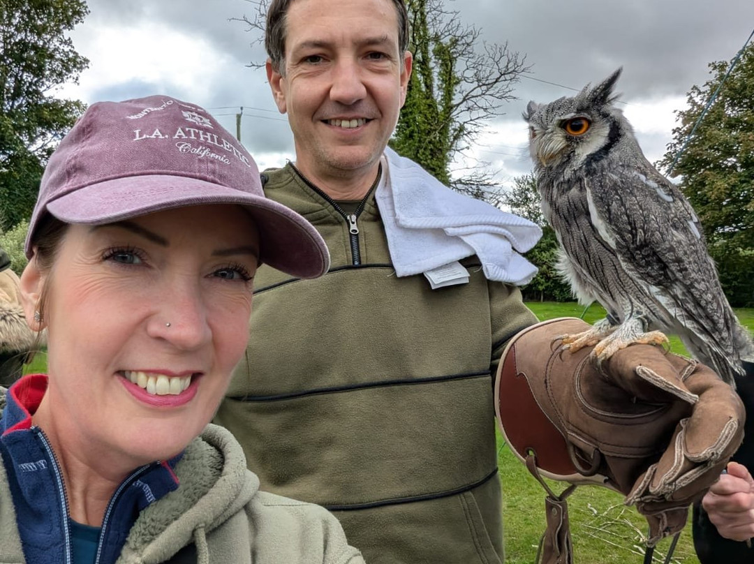 Falconry Experience Wales-Newtown必去景点