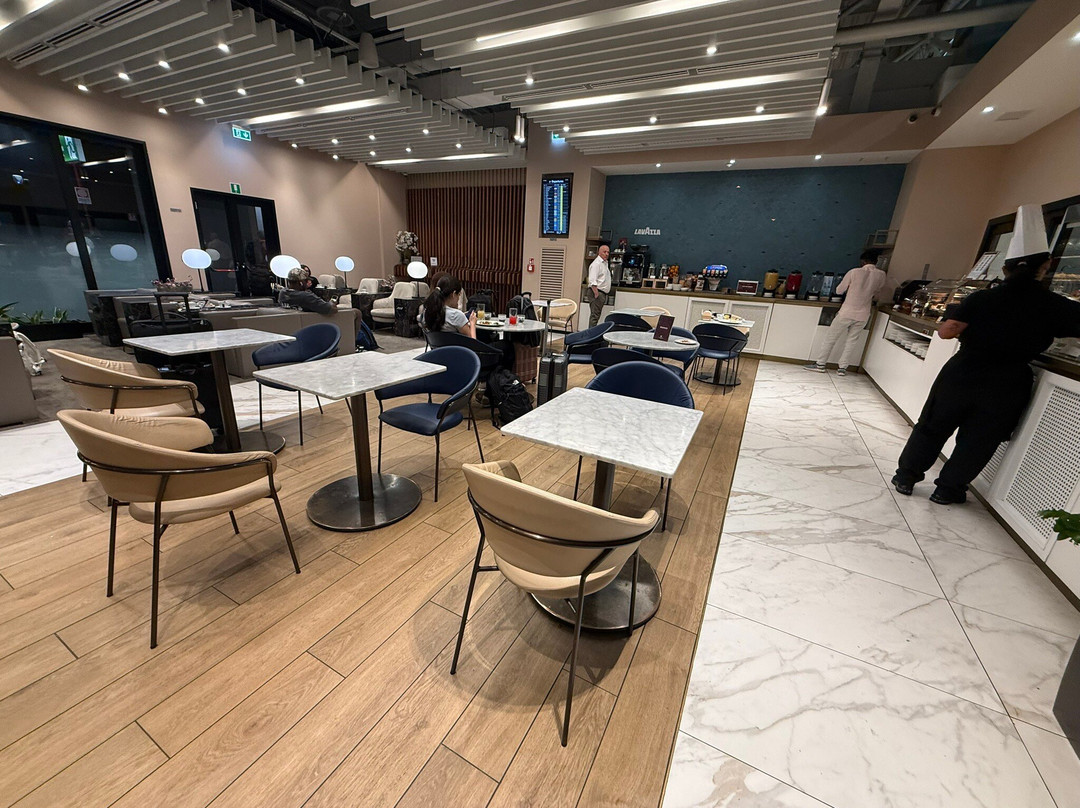 Plaza Premium Lounge (Schengen Area Departures Terminal 1)-菲乌米奇诺必去景点