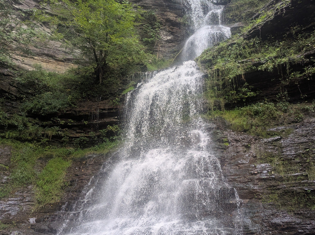 Cathedral Falls-Gauley Bridge必去景点