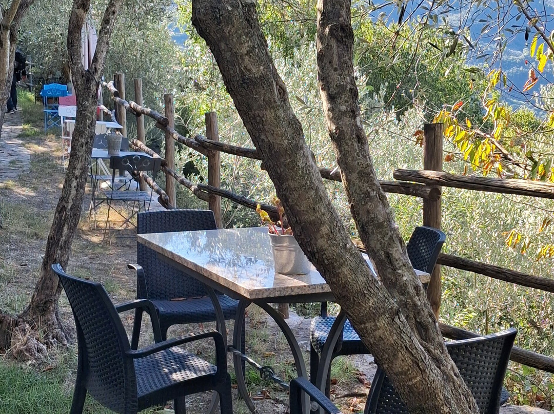 露恩西尼旅馆主图