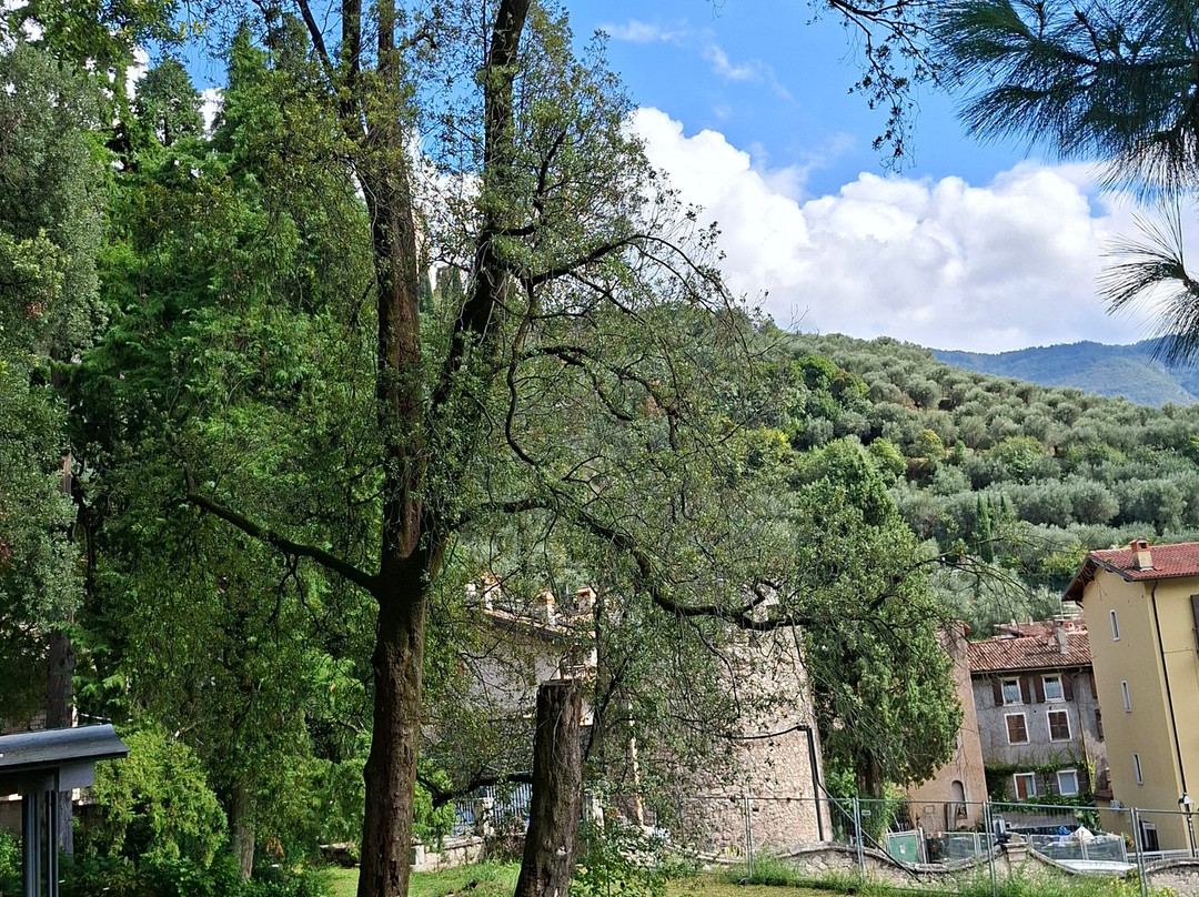 Arboretum of Arco-阿科必去景点