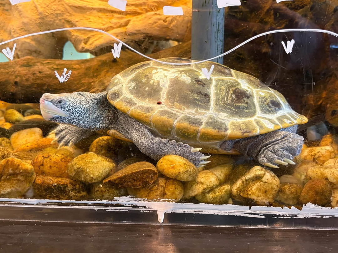 Tybee Island Marine Science Center-泰碧岛必去景点