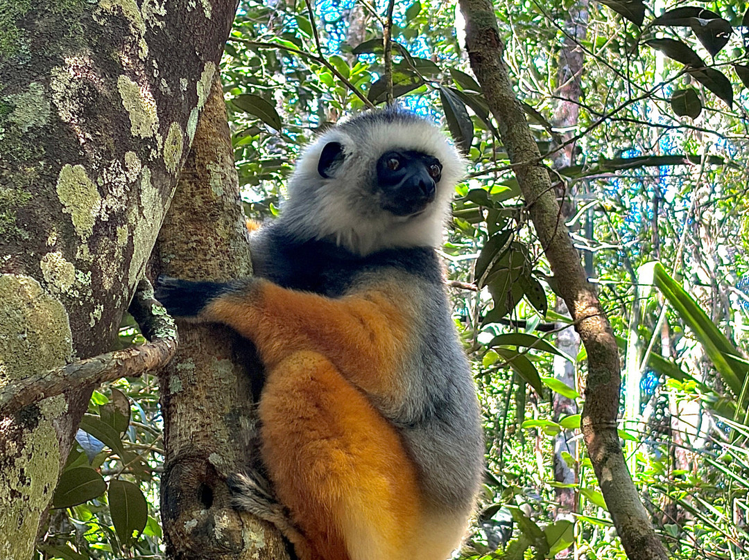 Christian Madagascar Tours-安齐拉贝必去景点