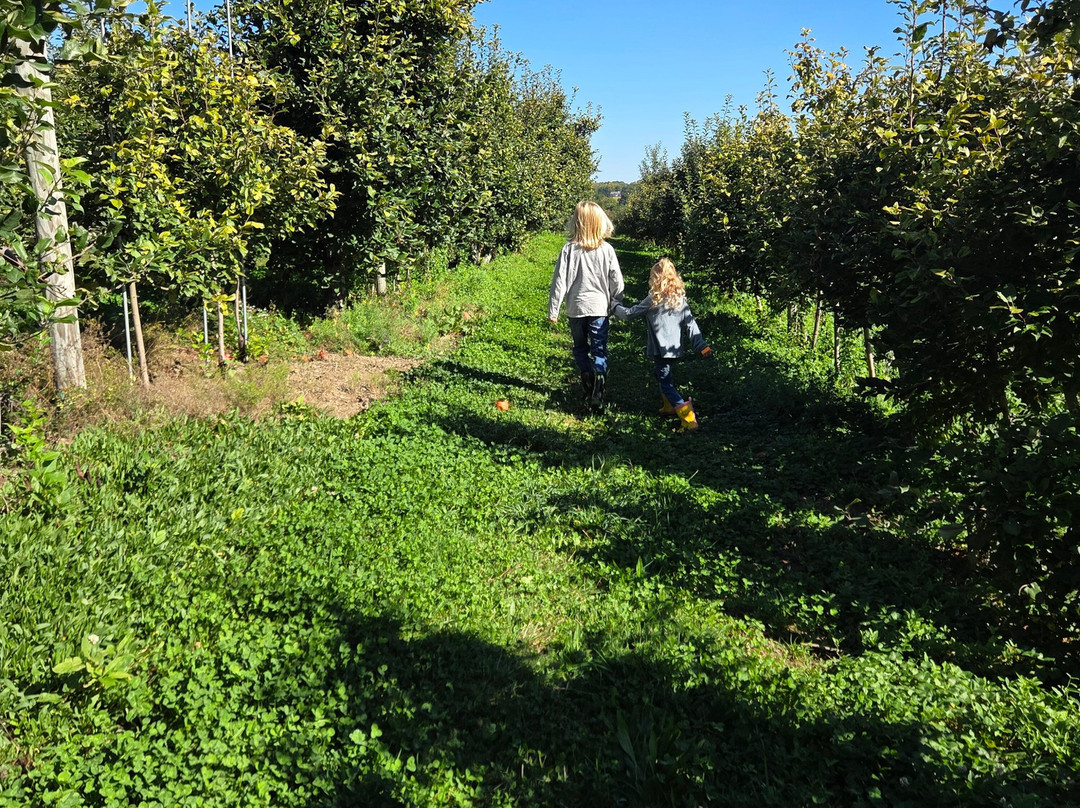 Apple Ridge Orchards-Warwick必去景点
