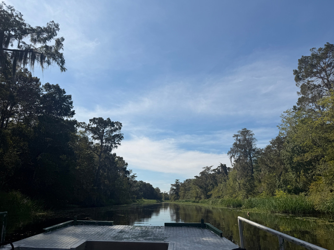 Beyond the Bayou-新奥尔良必去景点