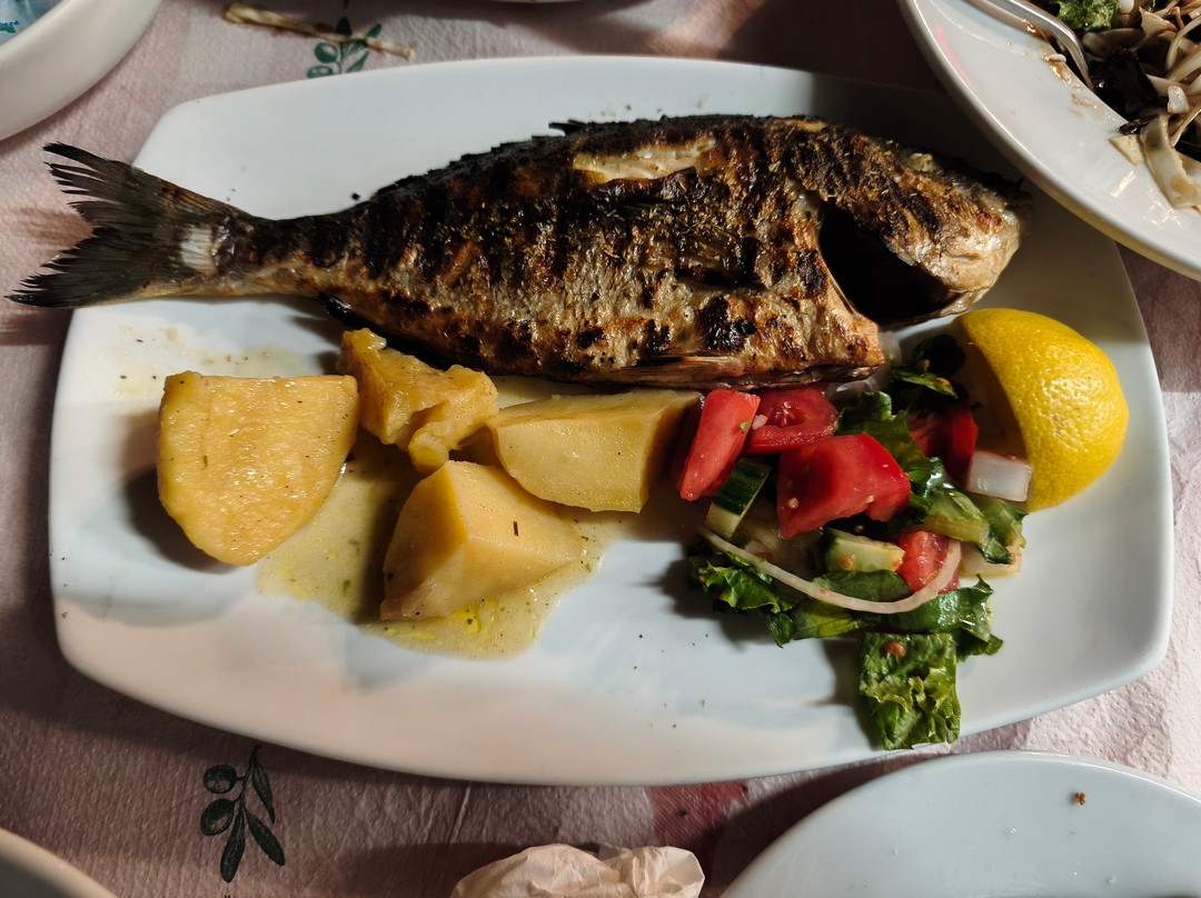 Ormos Taverna