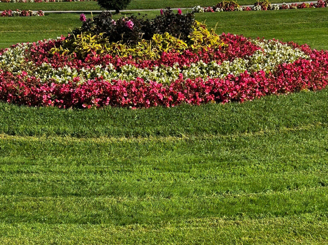 Jardines de Belvedere-维也纳必去景点