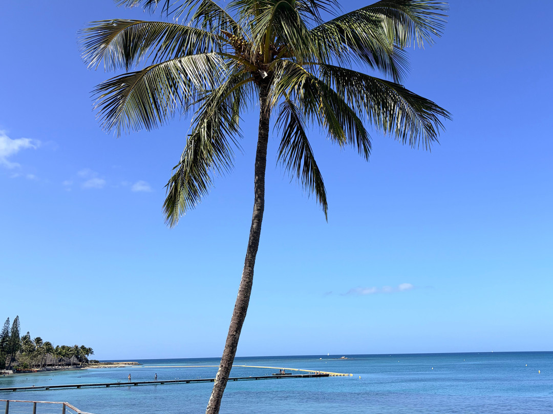 Anse Vata Beach-努美阿必去景点
