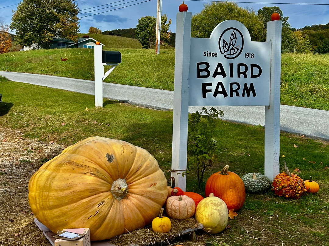 Baird Farm Vermont Maple Syrup-奇滕登必去景点