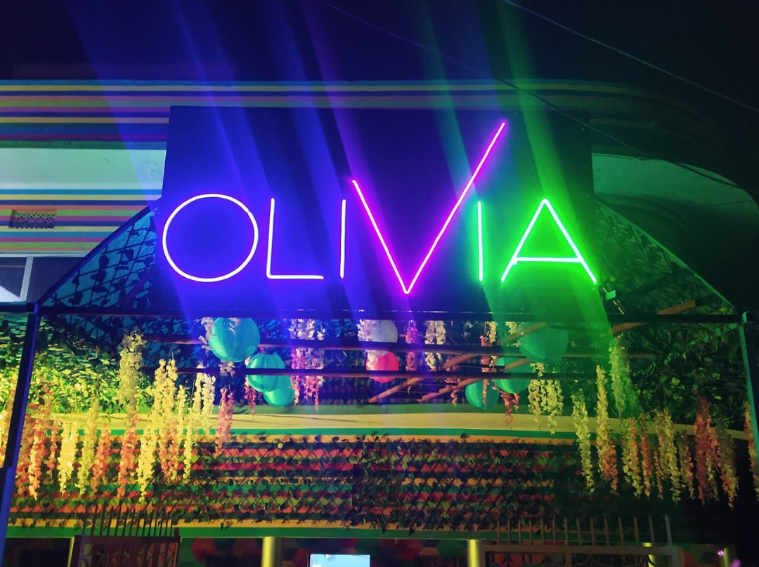 比哈尔邦酒店住宿-Olivia