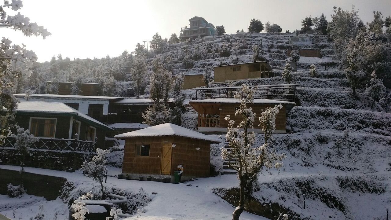 Oak Climbing Resort-官方
