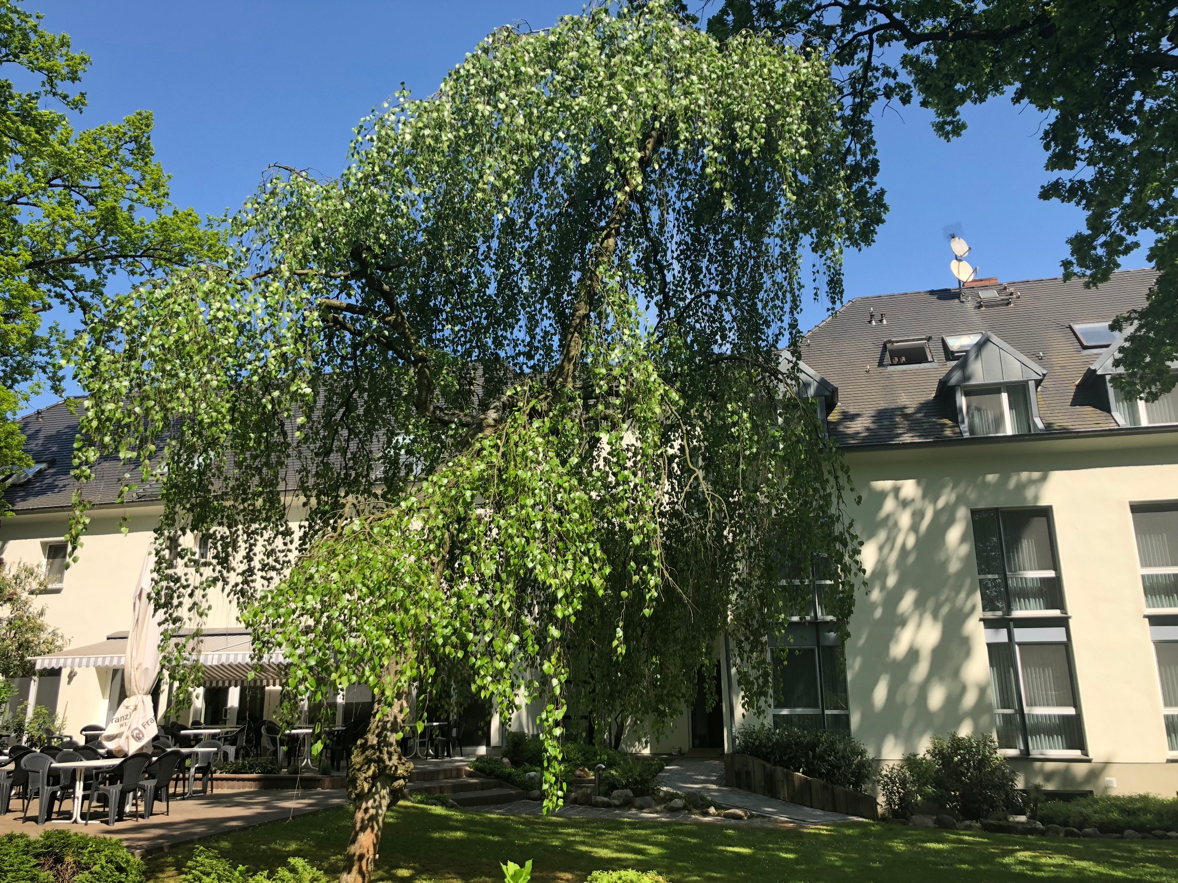 Hotel Luther Birke Wittenberg-官方