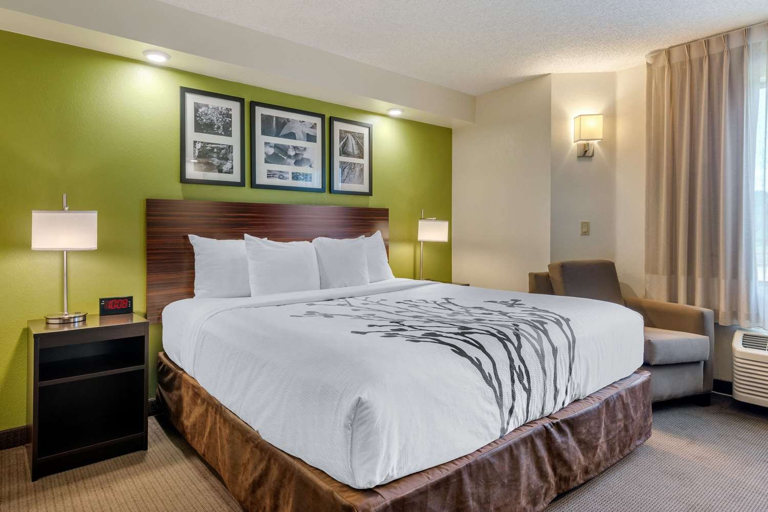 Spot X Hotel Tampa Bay By The Red Collection-官方