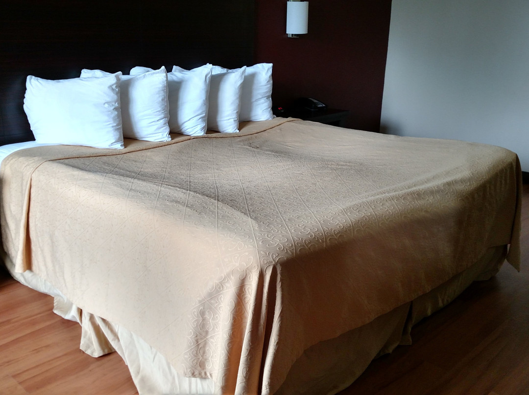 Days Inn by Wyndham Maysville Kentucky