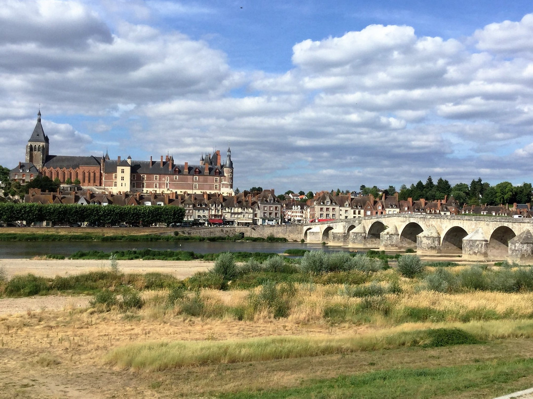 Saint-Brisson-sur-Loire旅游攻略图片