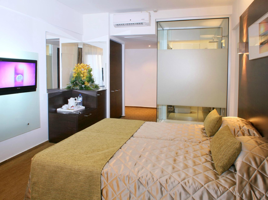 Amorgos Boutique Hotel