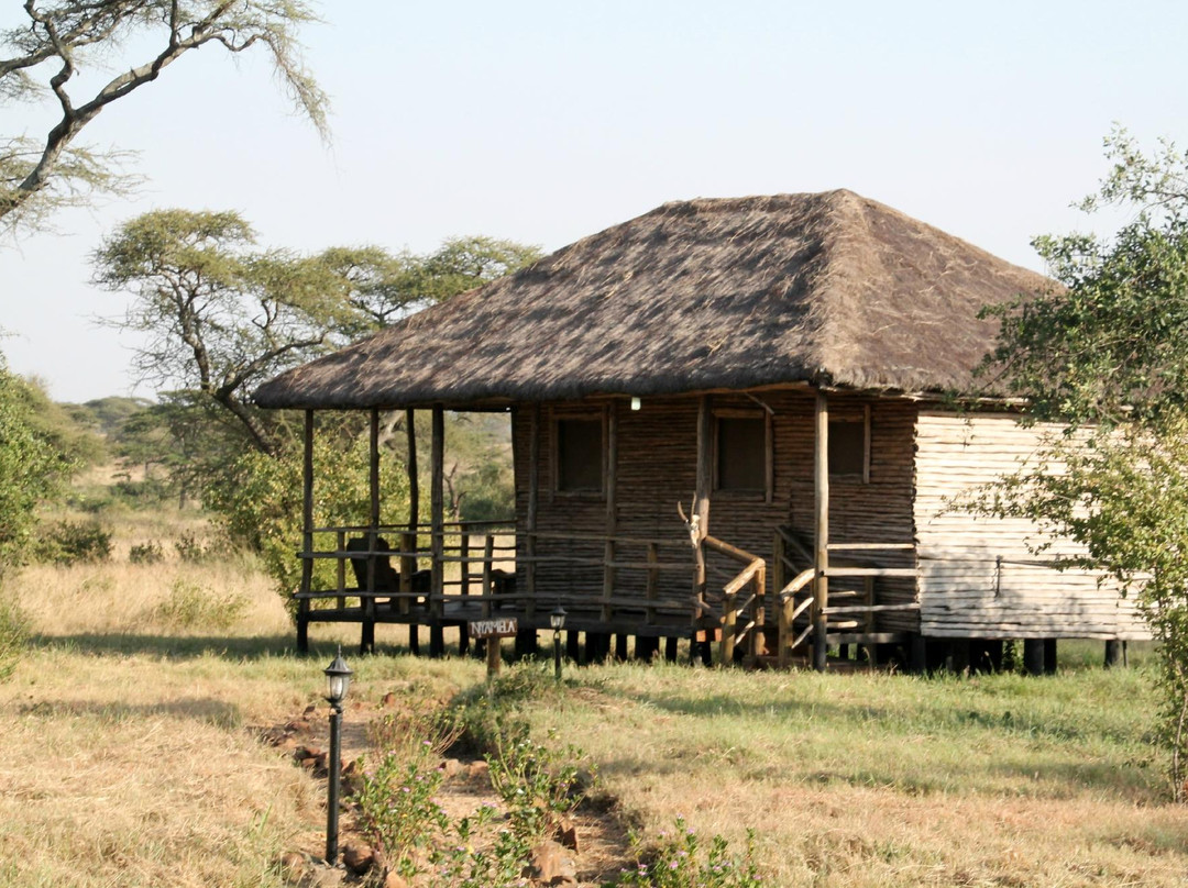 依考玛探险营地山林小屋