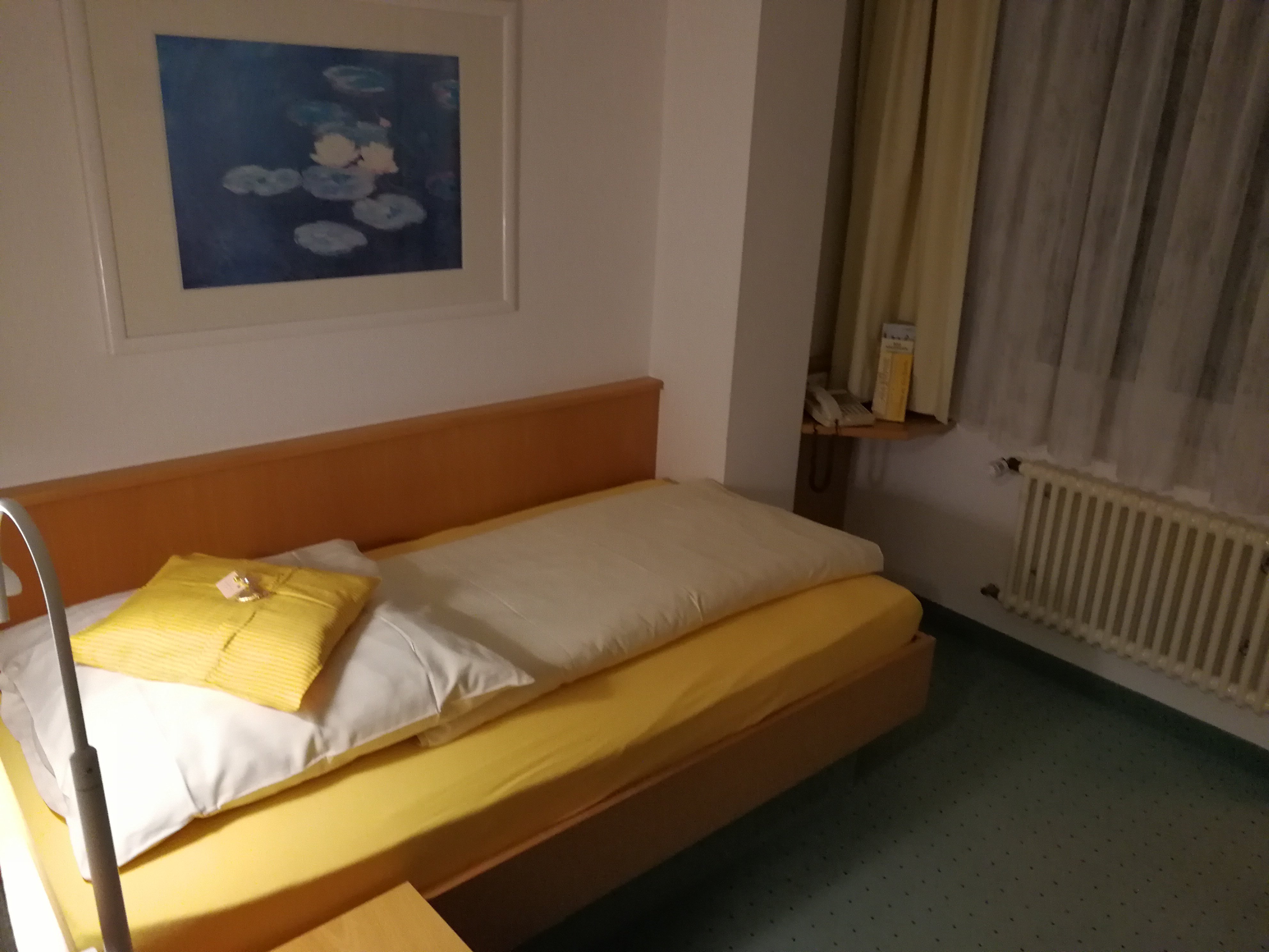 Alla-Fonte Hotel & Tagungshaus-官方