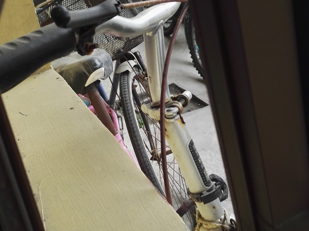 上海申花连锁酒店新国际博览中心花木店主图