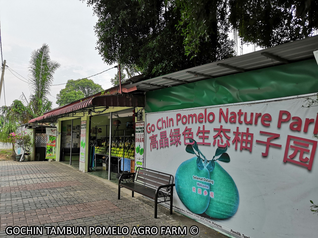 Simpang Pulai旅游攻略图片