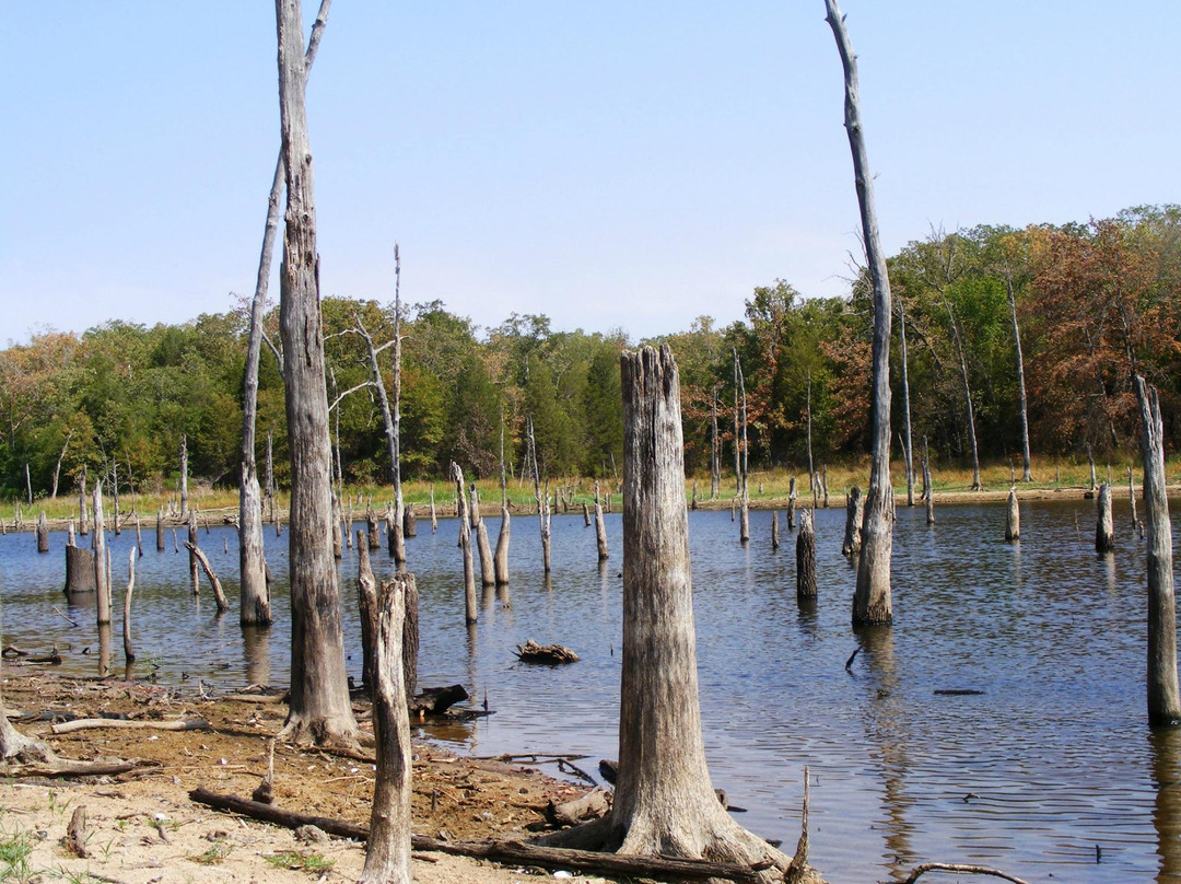 Purtis Creek State Park景点图片