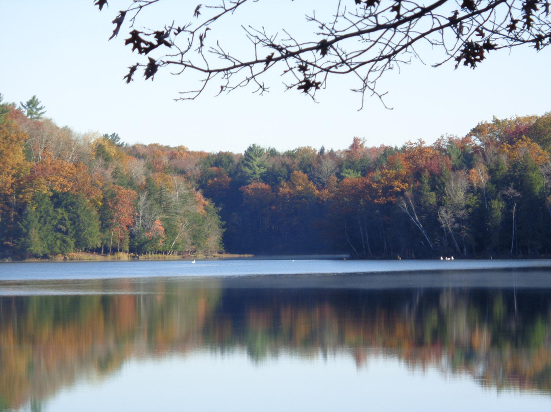 Manistee River景点图片