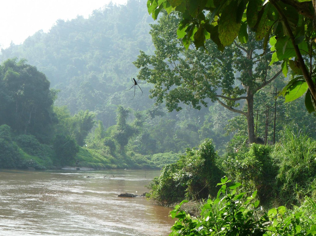 Nongkhyllem Wildlife Sanctuary景点图片