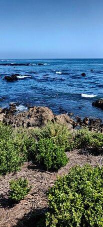 Seal Beach Scenic Overlook-大苏尔必去景点