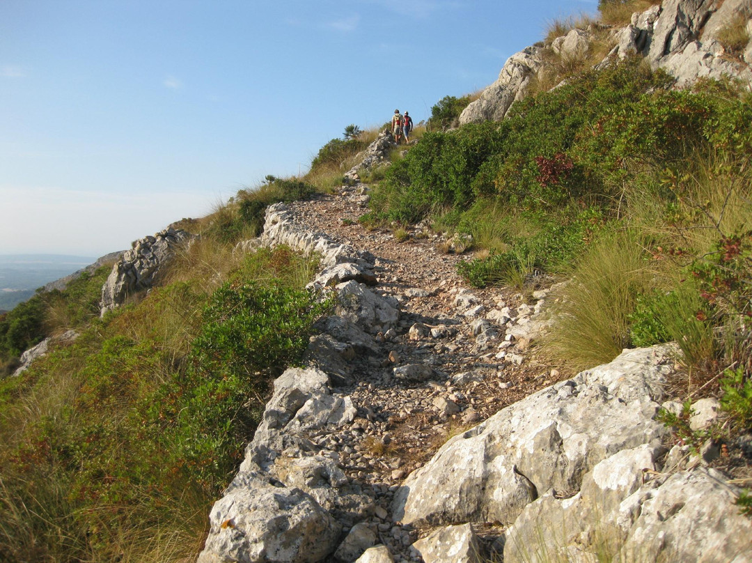 CR7 Es Galatzo - S'Esclop Trail-Es Capdella必去景点