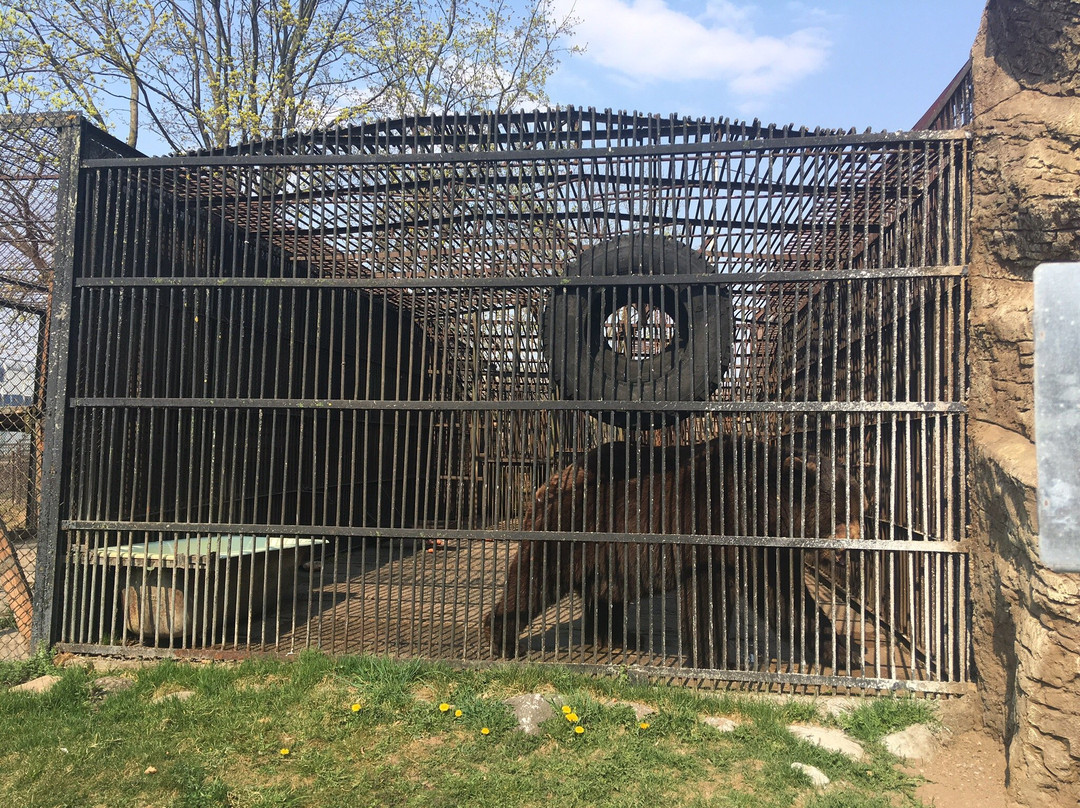 Minsk Zoo-明斯克必去景点