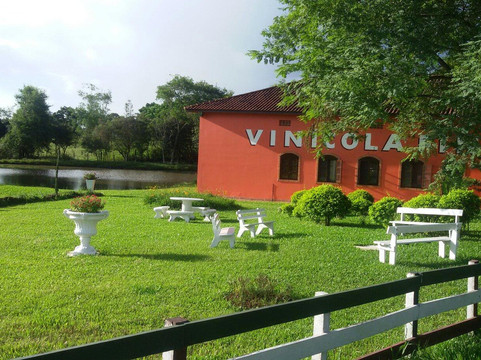Augusto Pestana旅游景点-Vinícola Fin