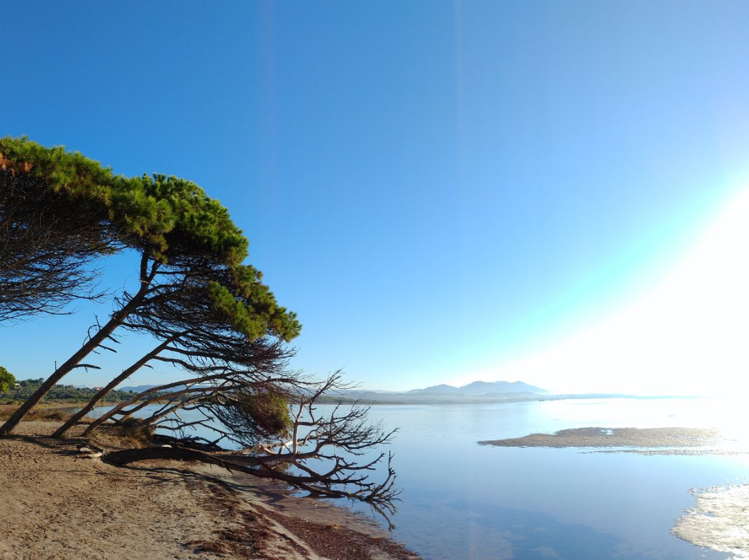 Punta Trettu