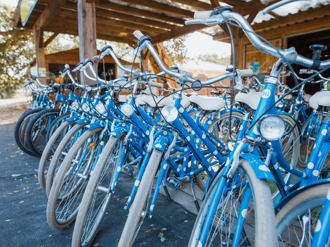 Les vélos de l'Ouest景点图片