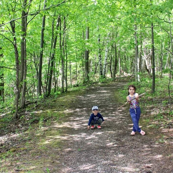 Wintergreen Park And Falls-Canajoharie必去景点