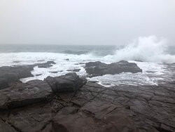 Pelicans Rest Shellharbour主图